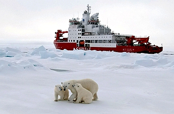 Wonderful photos captured by Xinhua reporters during their coverage of China's Arctic scientific expedition