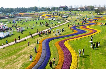 People enjoy spring across China