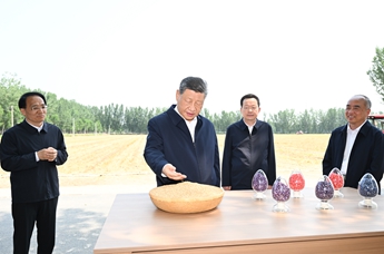 Xi calls for solid measures to modernize agriculture, rural areas