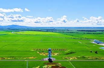 China's top grain-producing province turns paddies into tourist destinations