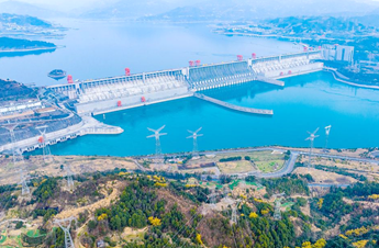 China's green development momentum keeps growing: ministry